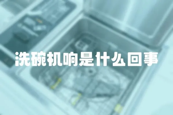 洗碗機響是什么回事