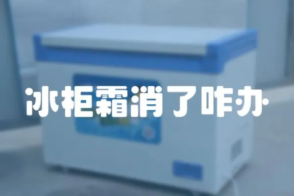冰柜霜消了咋辦