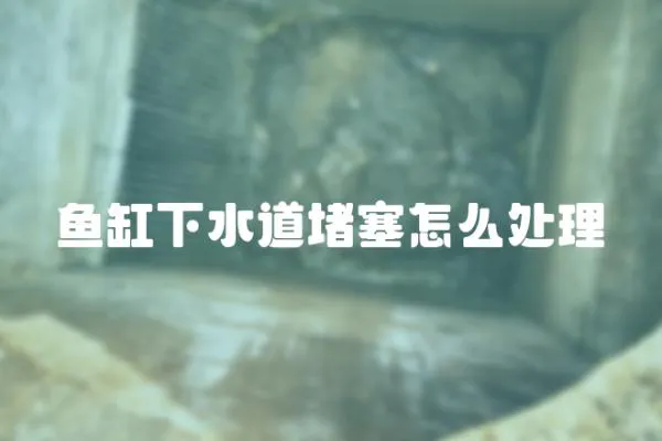 魚缸下水道堵塞怎么處理