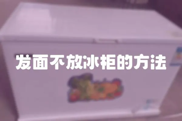 發(fā)面不放冰柜的方法