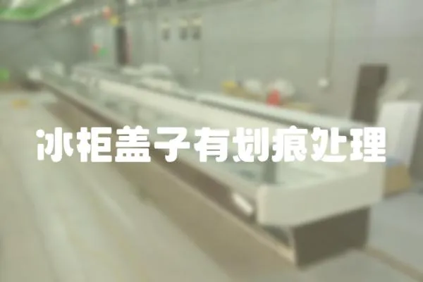 冰柜蓋子有劃痕處理