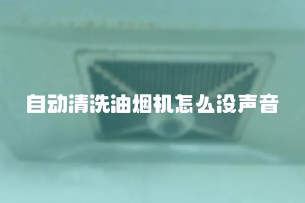 自動清洗油煙機怎么沒聲音