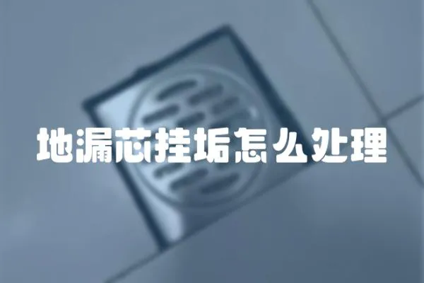 地漏芯掛垢怎么處理