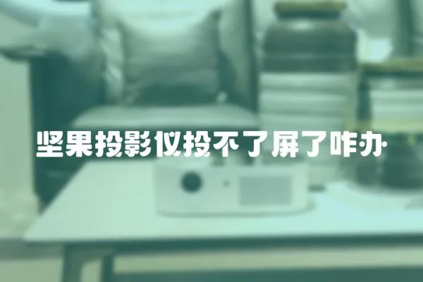 堅果投影儀投不了屏了咋辦