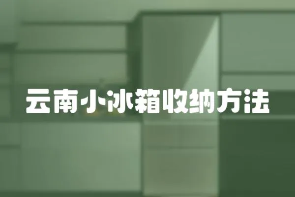 云南小冰箱收納方法
