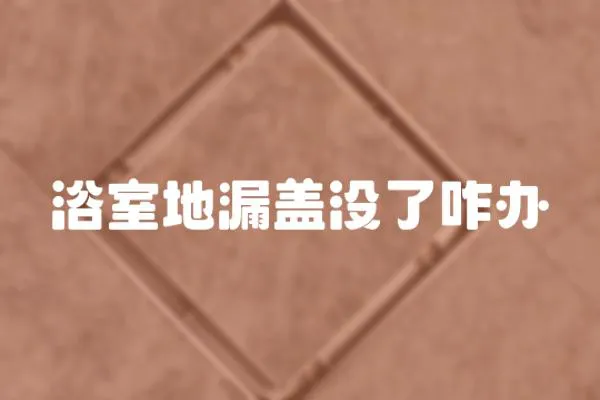 浴室地漏蓋沒了咋辦