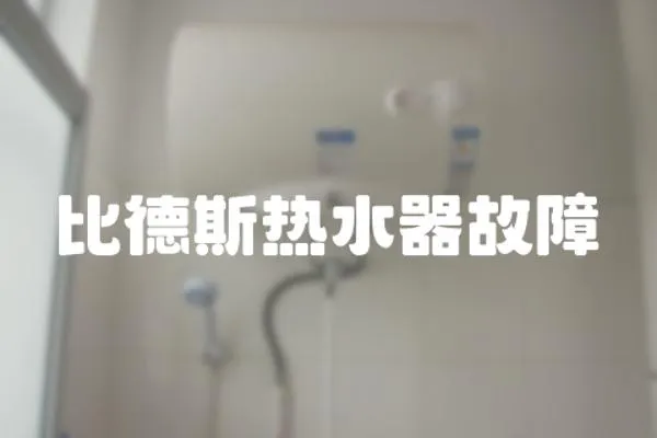 比德斯熱水器故障