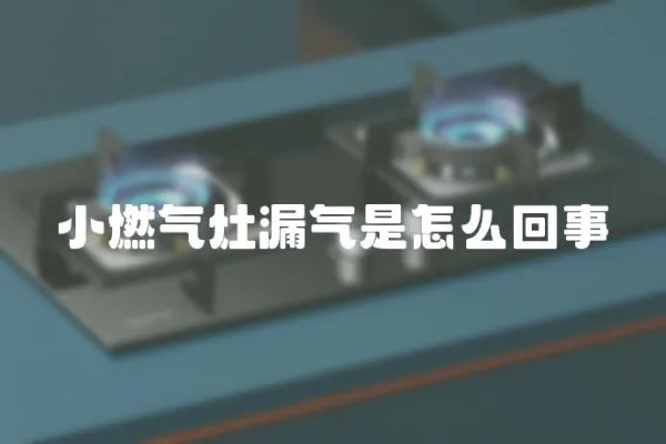 小燃氣灶漏氣是怎么回事
