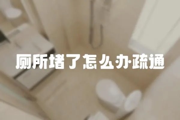 廁所堵了怎么辦疏通