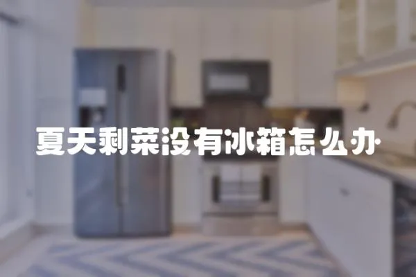夏天剩菜沒有冰箱怎么辦