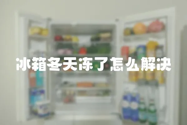 冰箱冬天凍了怎么解決