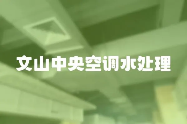 文山中央空調水處理