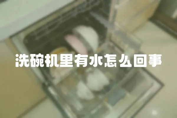 洗碗機里有水怎么回事