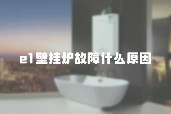 e1壁掛爐故障什么原因