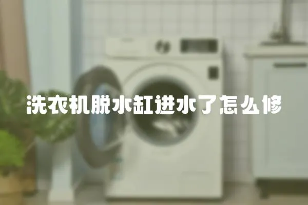 洗衣機脫水缸進水了怎么修