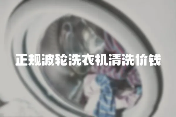 正規波輪洗衣機清洗價錢