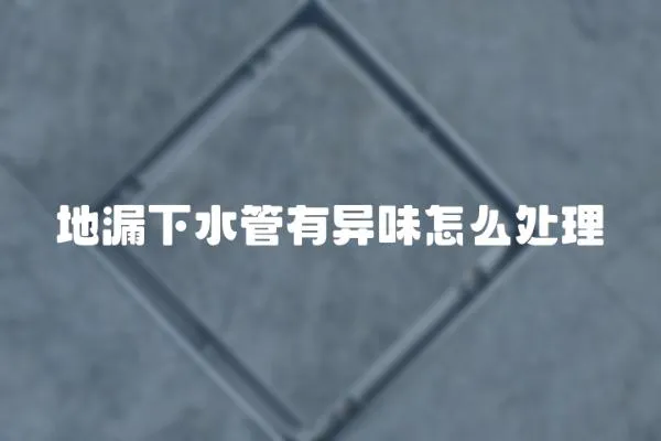 地漏下水管有異味怎么處理
