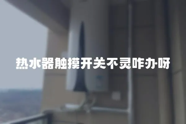 熱水器觸摸開關不靈咋辦呀