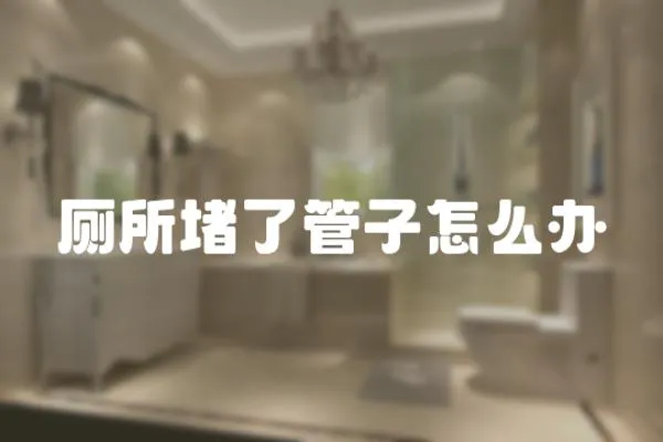 廁所堵了管子怎么辦