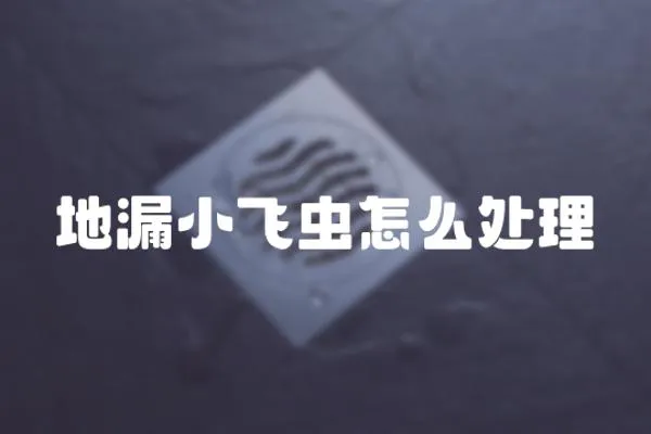 地漏小飛蟲怎么處理