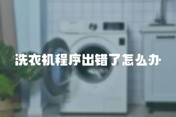 洗衣機程序出錯了怎么辦