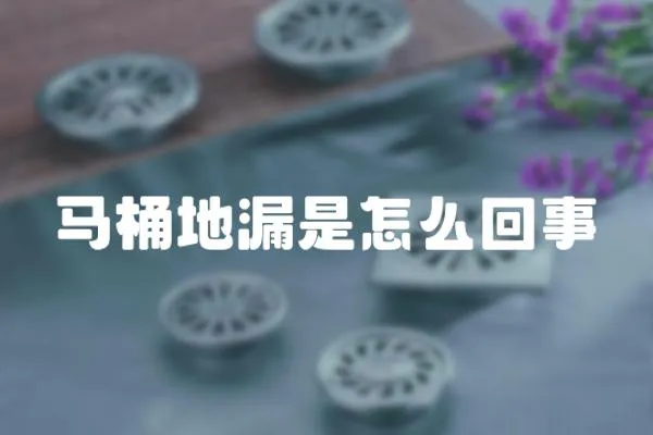馬桶地漏是怎么回事