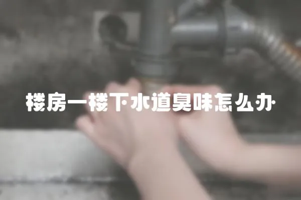 樓房一樓下水道臭味怎么辦