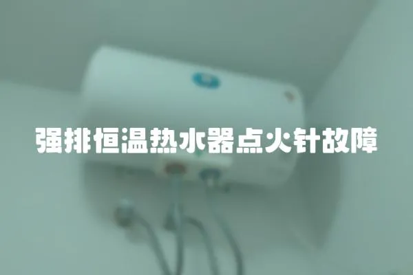 強排恒溫熱水器點火針故障