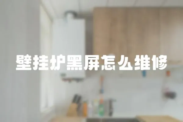 壁掛爐黑屏怎么維修