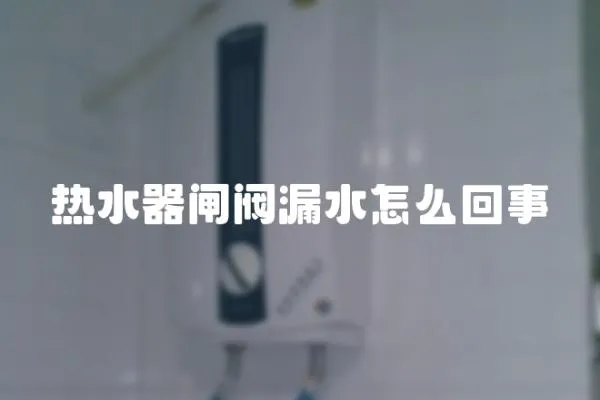 熱水器閘閥漏水怎么回事