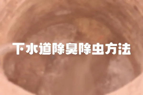 下水道除臭除蟲方法