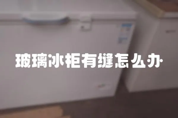 玻璃冰柜有縫怎么辦