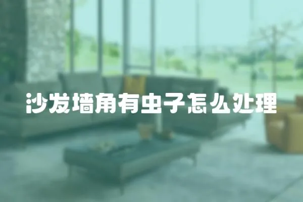 沙發墻角有蟲子怎么處理