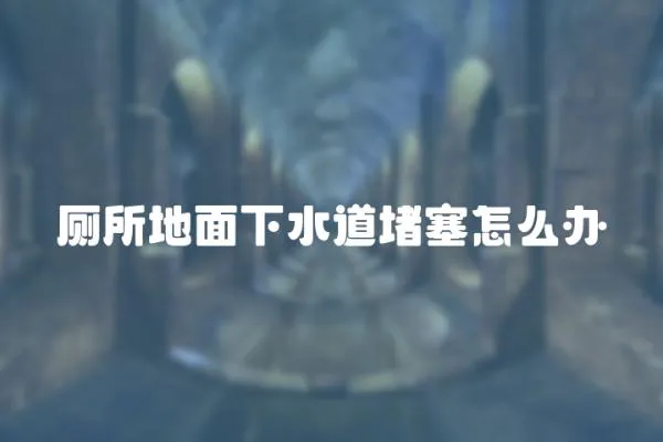 廁所地面下水道堵塞怎么辦