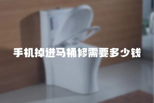 手機(jī)掉進(jìn)馬桶修需要多少錢(qián)