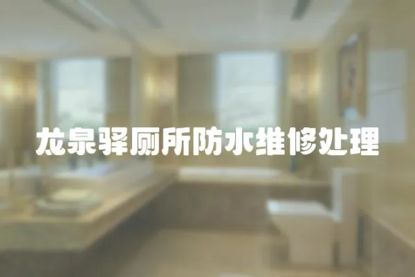 龍泉驛廁所防水維修處理