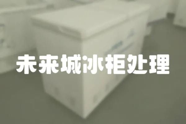 未來城冰柜處理