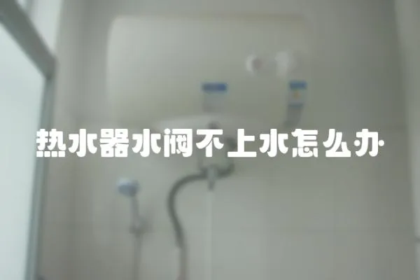 熱水器水閥不上水怎么辦