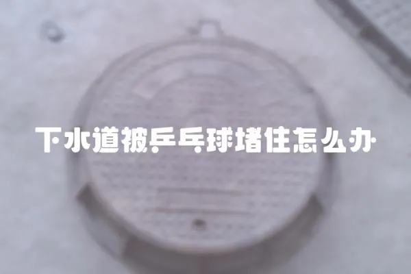 下水道被乒乓球堵住怎么辦