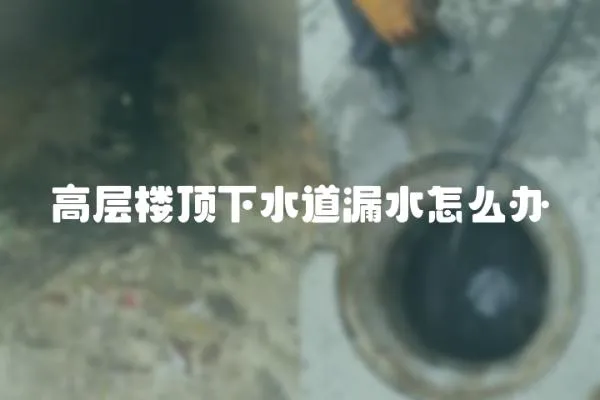 高层楼顶下水道漏水怎么办