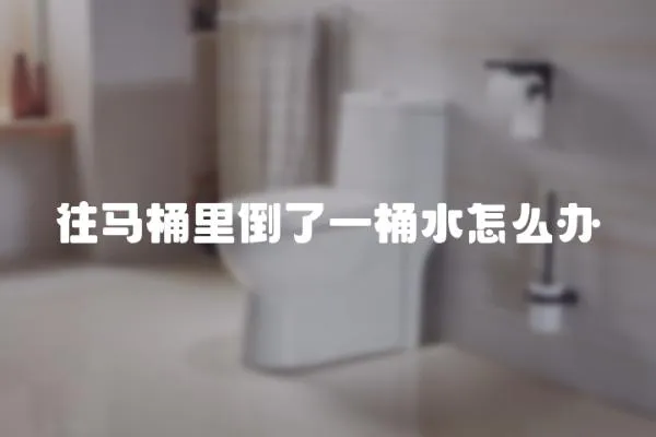 往馬桶里倒了一桶水怎么辦