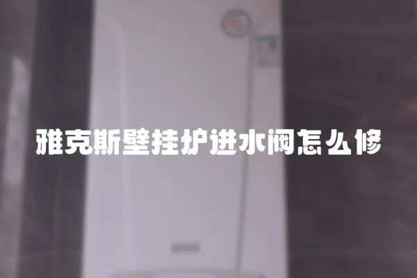 雅克斯壁掛爐進水閥怎么修
