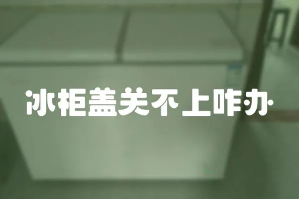 冰柜蓋關不上咋辦