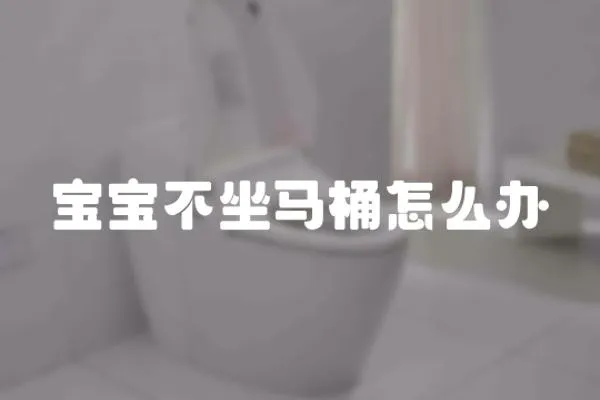 寶寶不坐馬桶怎么辦
