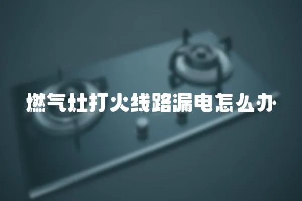 燃氣灶打火線路漏電怎么辦