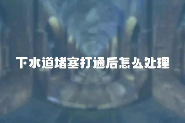 下水道堵塞打通后怎么處理