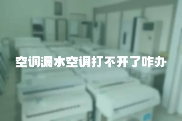 空調漏水空調打不開了咋辦