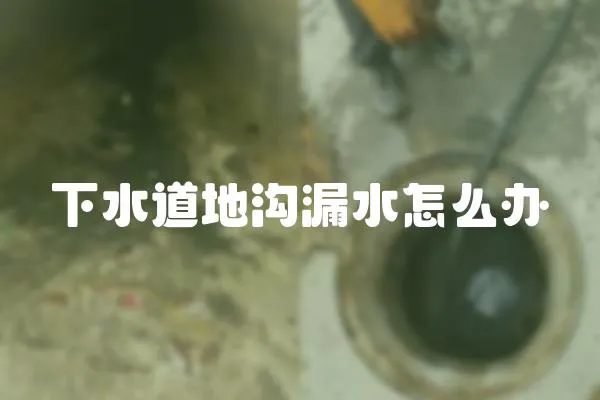 下水道地溝漏水怎么辦