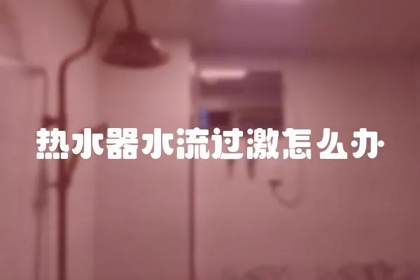 熱水器水流過激怎么辦