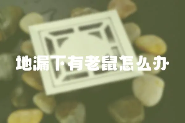 地漏下有老鼠怎么辦